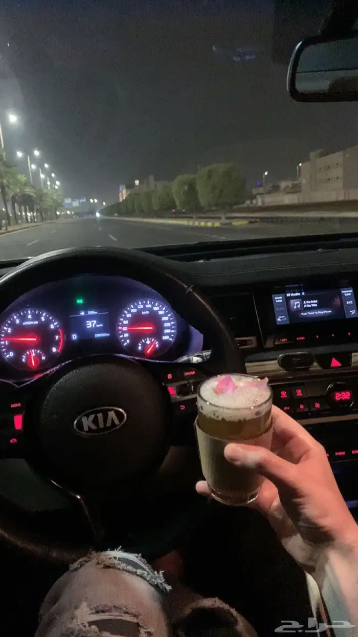 كادينزا 2017 4