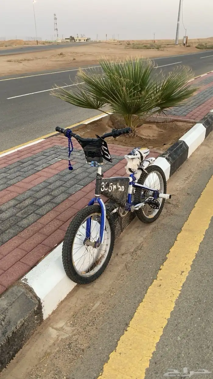 سيكل كوبرا مقاس 19 3