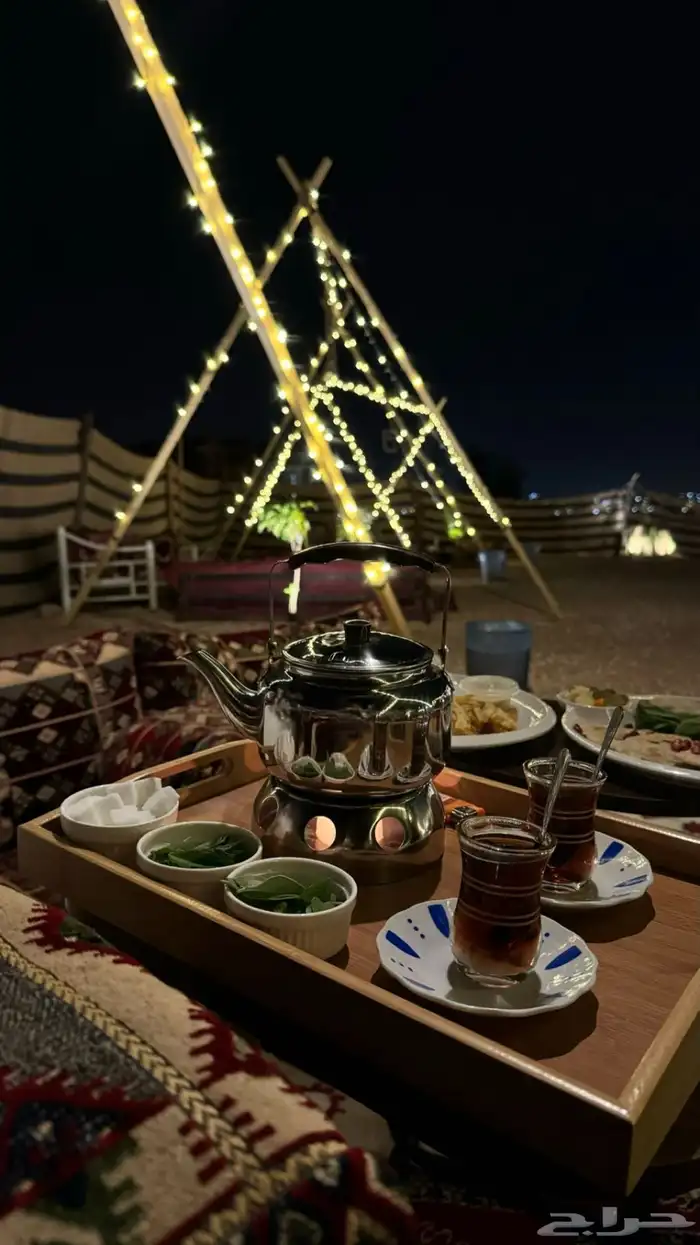 عربات طعام   فود ترك 13