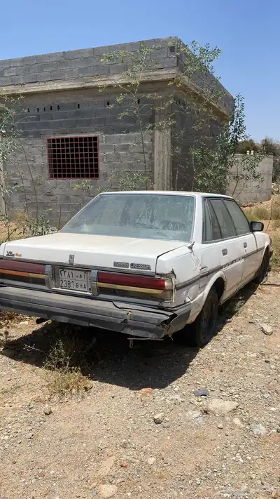 كرسيدا 88 للبيع ب 2000 ريال 3