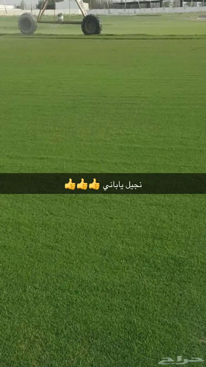 نجيل طببعي سي 2000نجيل فرنسي وياباني 1