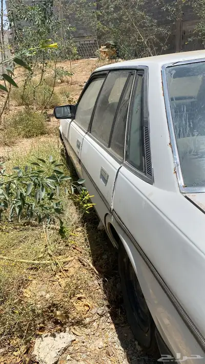 كرسيدا 88 للبيع ب 2000 ريال 2