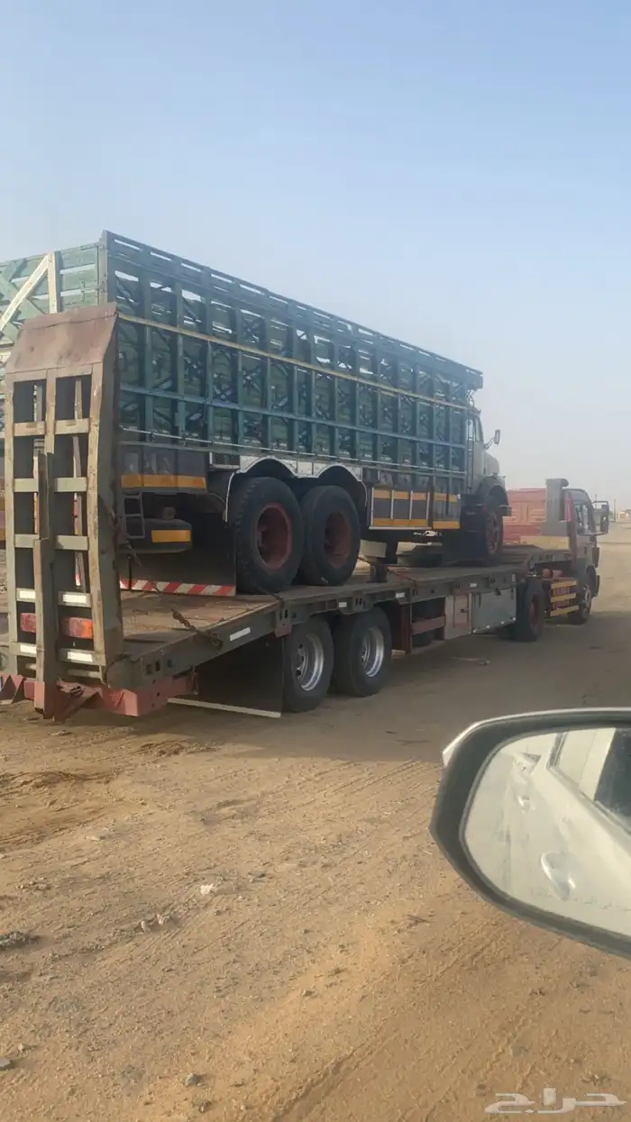 لوبد 0
