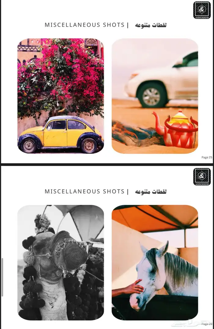 مصمم ومصور ومنتج احترافي 7