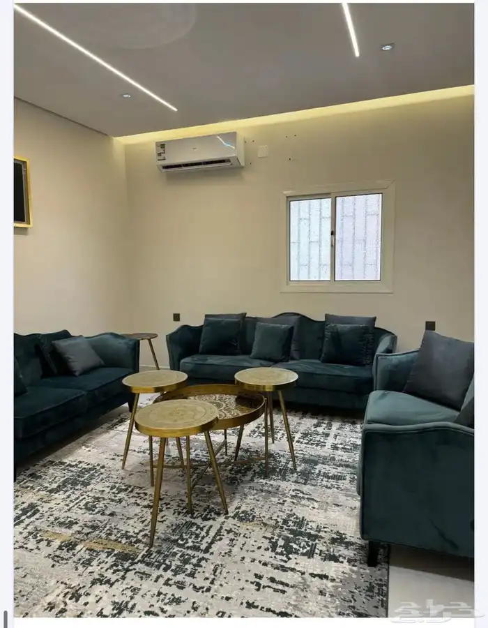 فرصة استثمارية جاهزة في الع لا 1