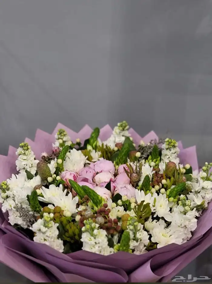 مستق هدايا 7