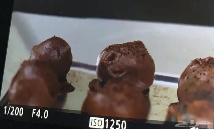 نوفر لكم الذ أنواع الحلى البيتي  طازج بشكل يومي 3