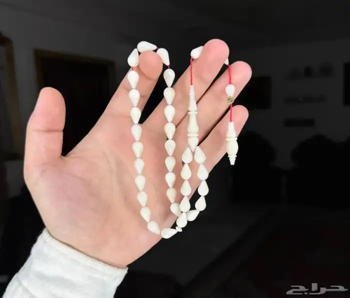 سبح 13