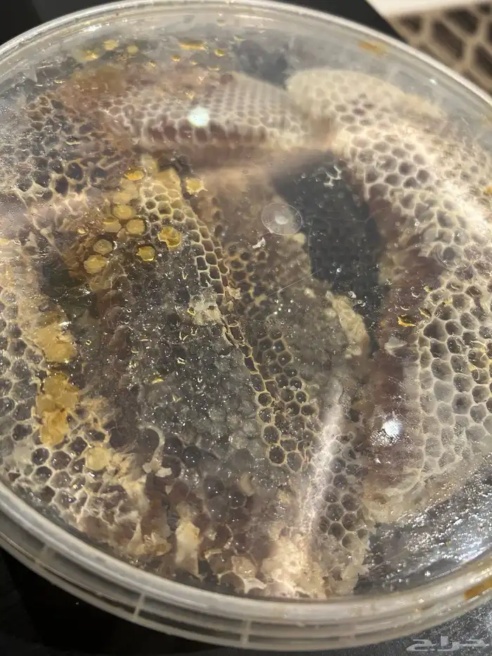 عسل سمره طبيعي طازج بشمع 100   انتاج هذا الاسبوع 4