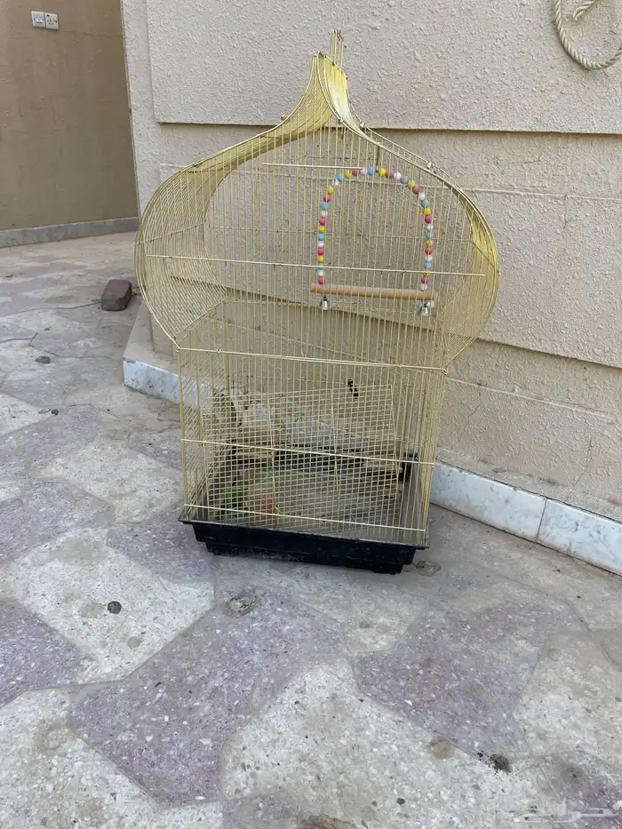 قفص طيور 0