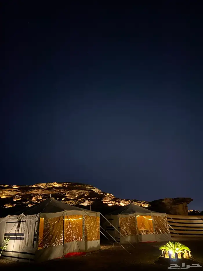عربات طعام   فود ترك 7