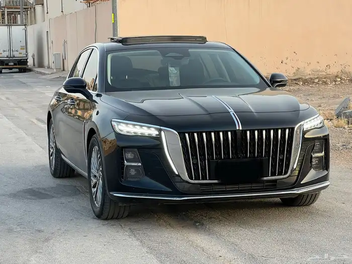 هونشي ديسادو 2024 1