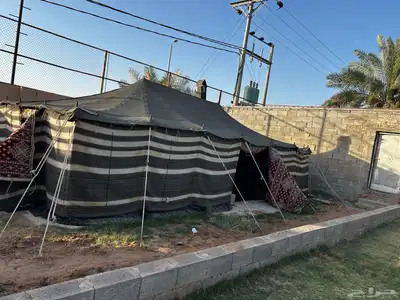 بيوت شعر للبيع 6