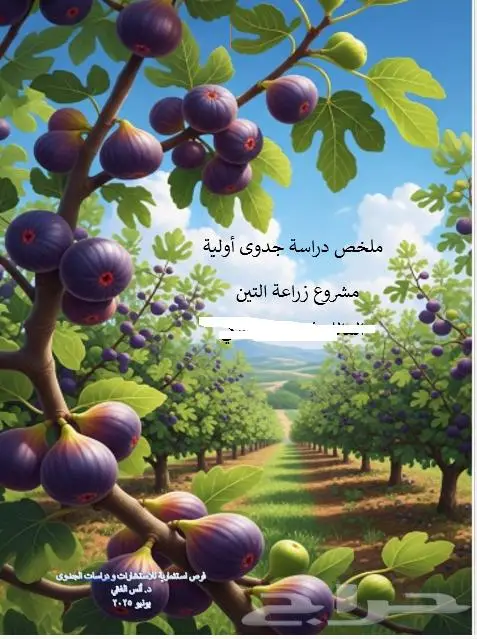 اعداد دراسات الجدوى و تطوير المشروعات الحالية 2