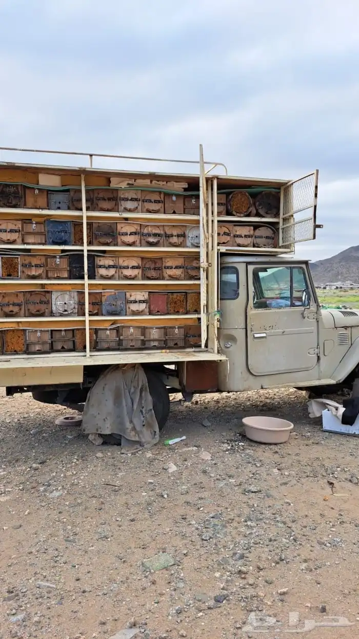 عسل سمره طبيعي طازج بشمع 100   انتاج هذا الاسبوع 1