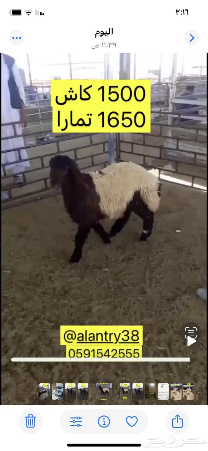 ضحايا للبيع 0