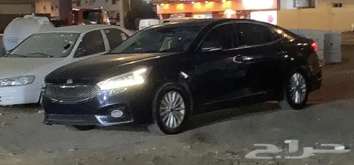 كادينزا 2017 2
