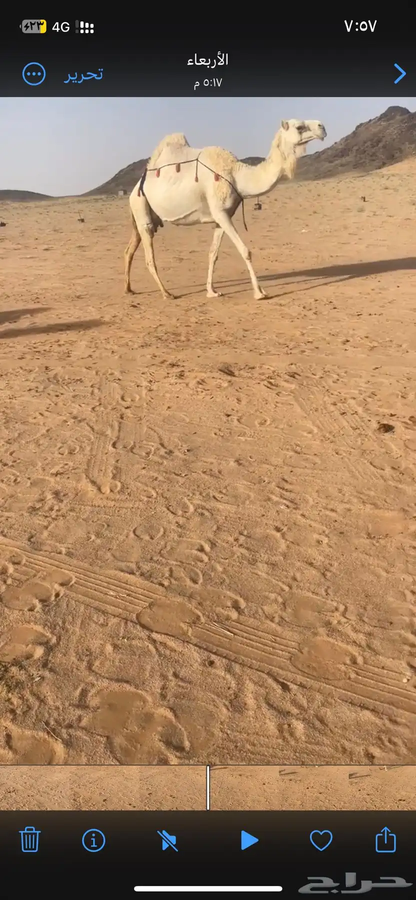 خلفه وضحى 0