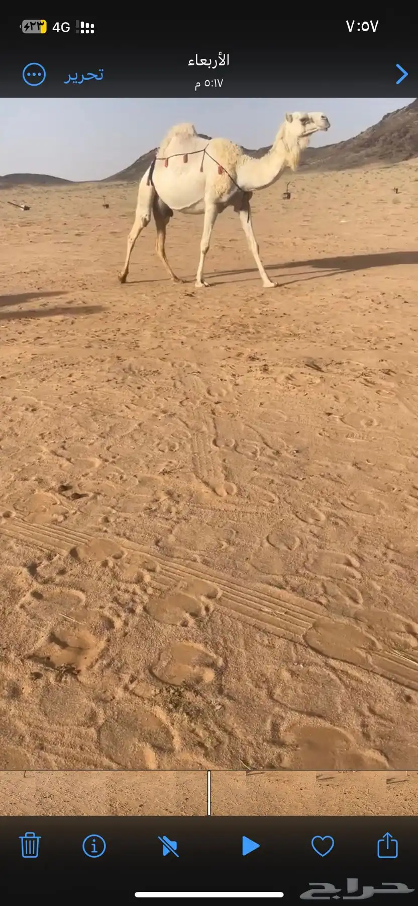 خلفه وضحى 1
