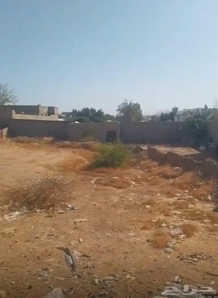 حوش للايجار 0
