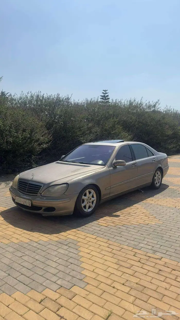 فياقرا جفالي 2004 7