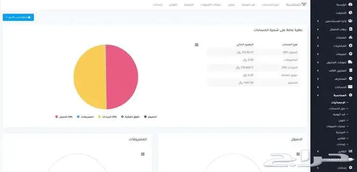 برنامج مبيعات كاشير وفواتير الكترونية 6