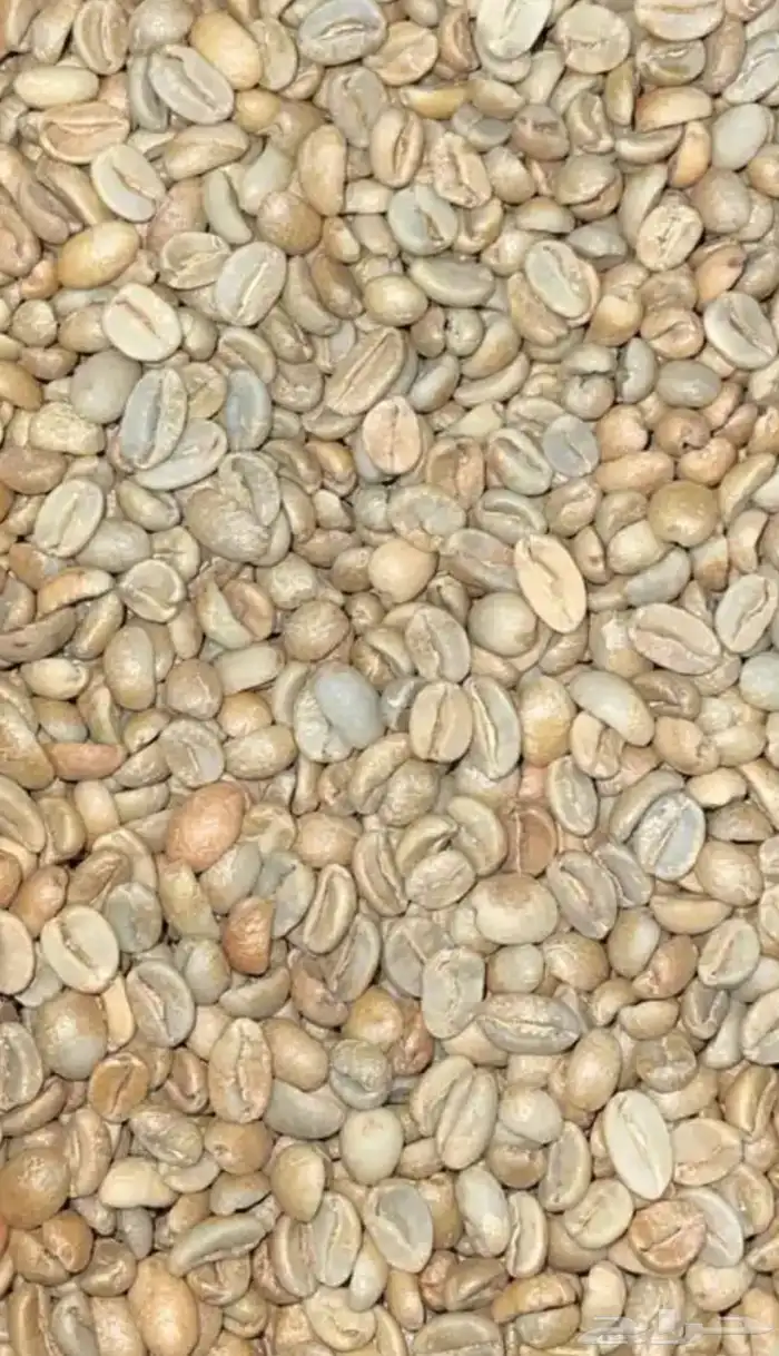 قهوة مختصة محمصه 5