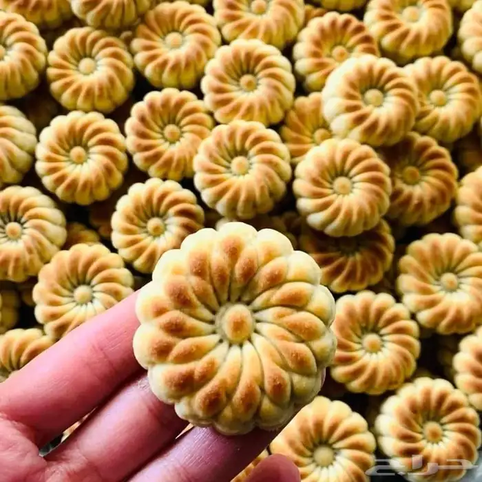 معمول سوري بااصوله 14