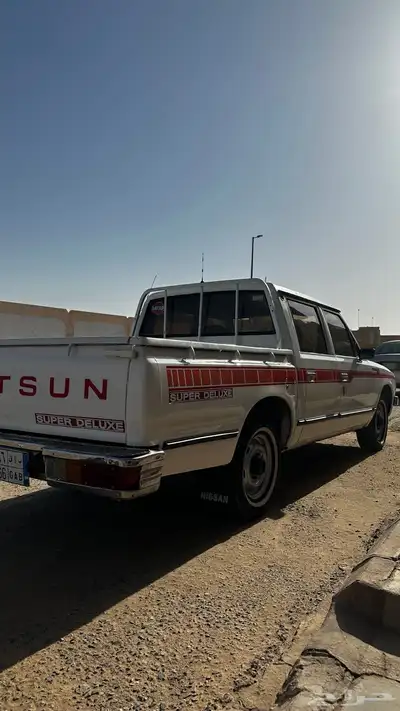 ددسن 1981 غمارتين مجدد داخلي وخارجي 4