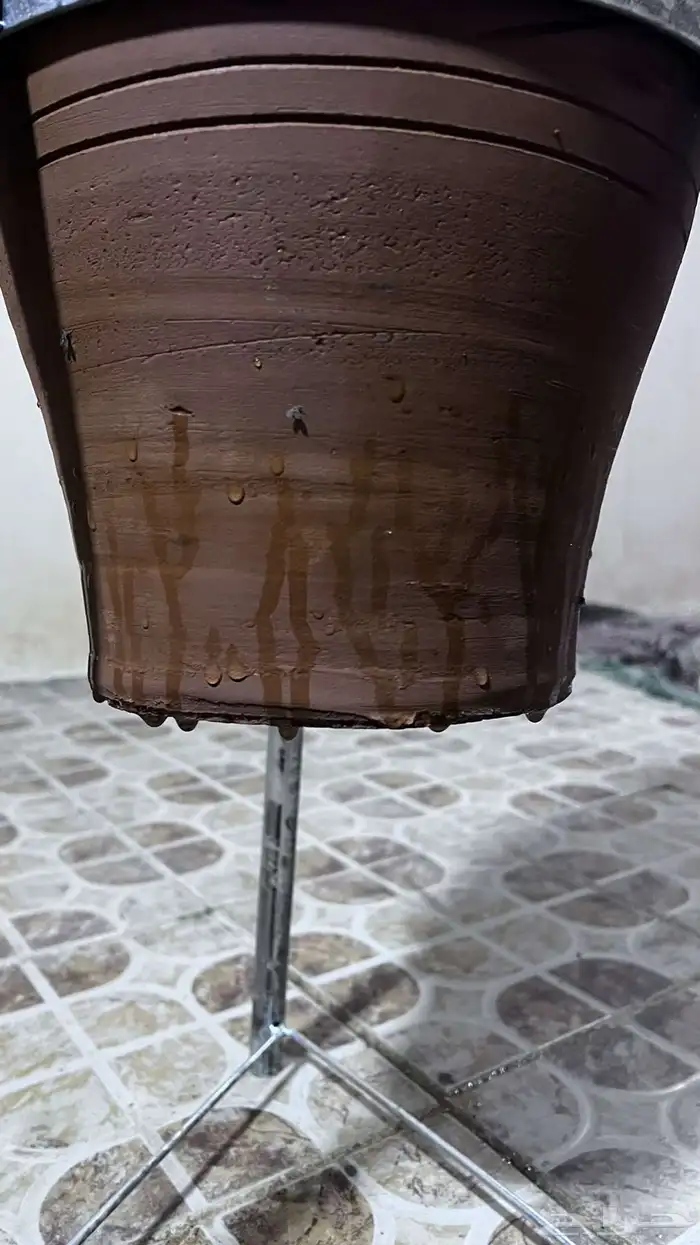 زير من تربة المدينة المنورة 10