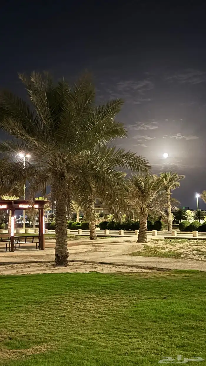 توصيل طلبات من حايل للخفجي 0