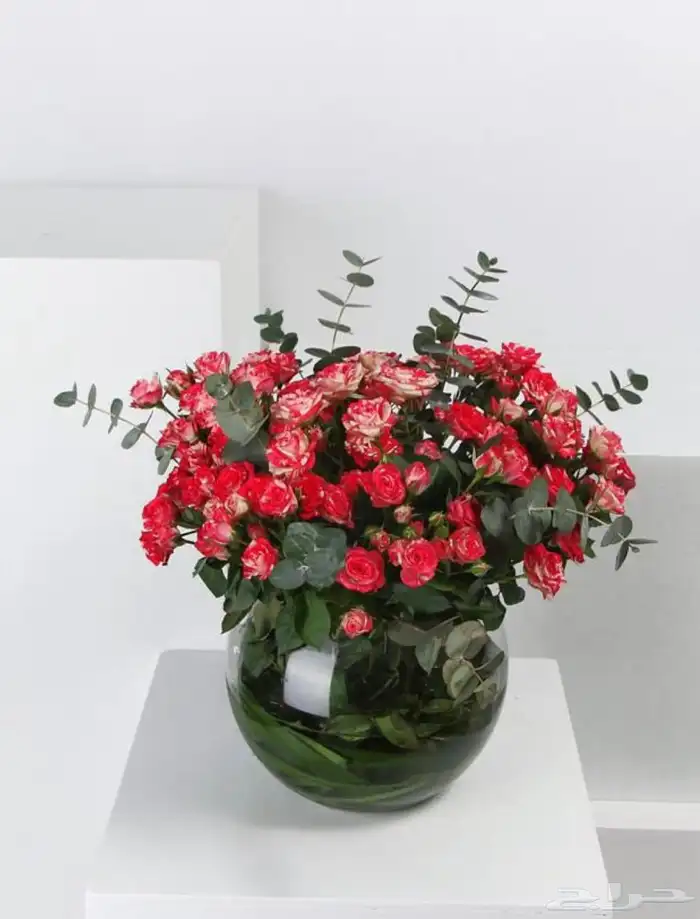 فازات ورد بارخص الاسعار 5