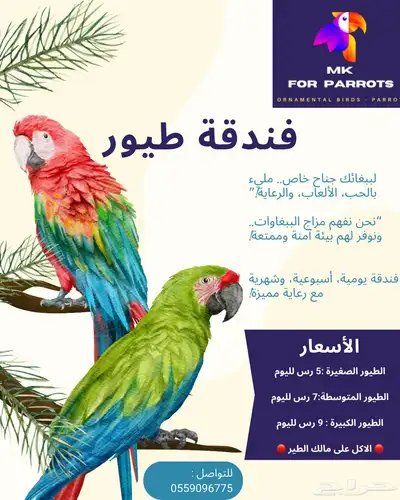 فندقة طيور ب افضل اهتمام و اقل الاسعار 0