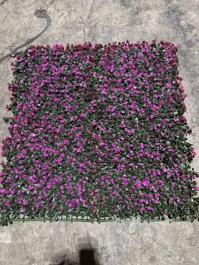العشب الجداري زينه عرض تحطيم سعر المتر مع التركيب 55 ريال 1