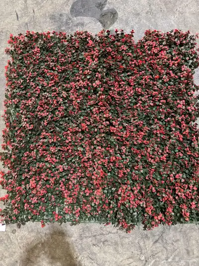 العشب الجداري زينه عرض تحطيم سعر المتر مع التركيب 55 ريال 0