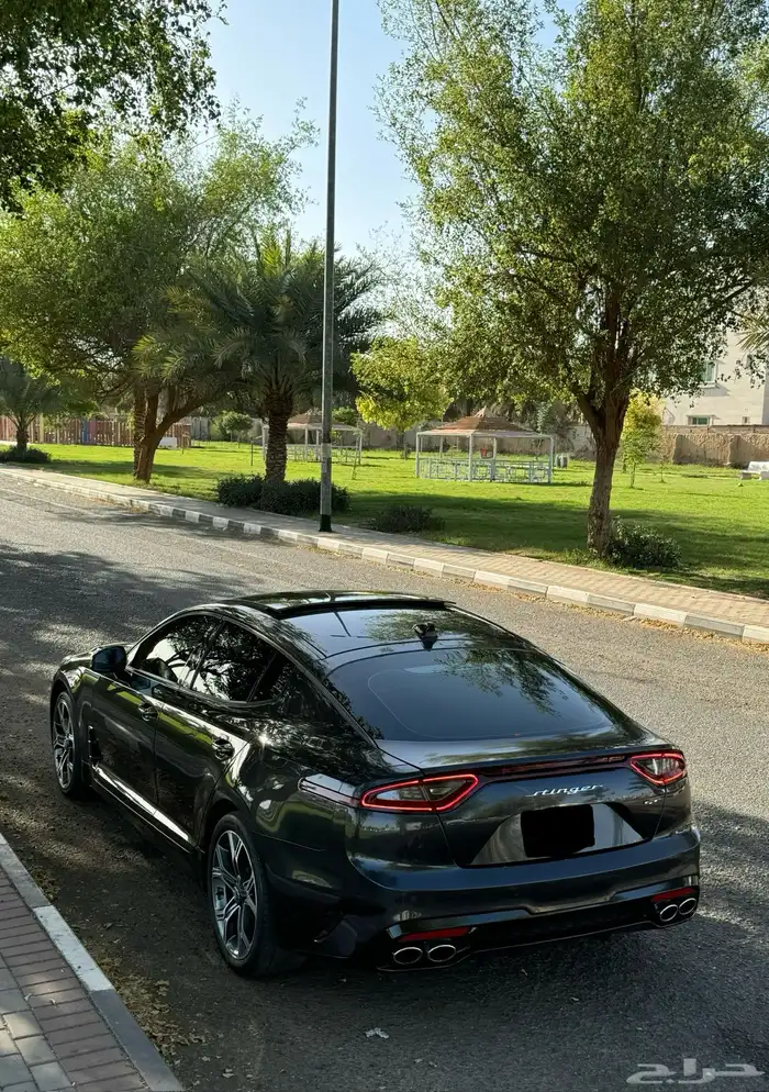 للبيع ستينجر 2020 24
