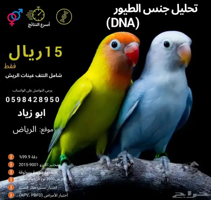 تحليل جنس طيور DNA 0