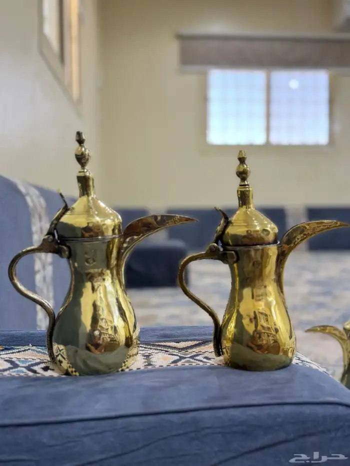دلال محمود رسلان 0
