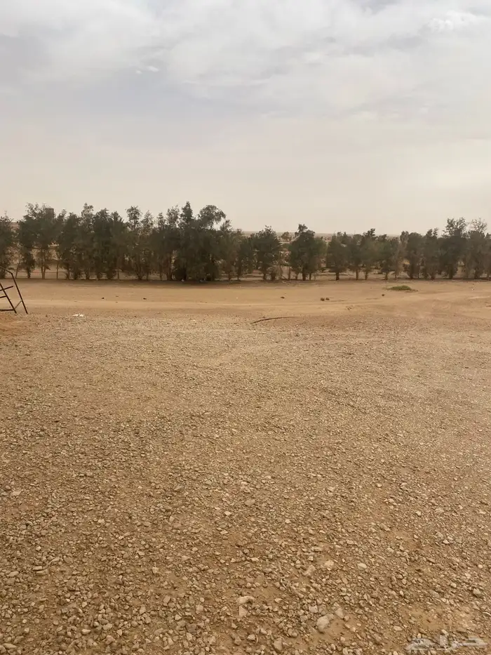 مزرعه للإيجار اليومي 5