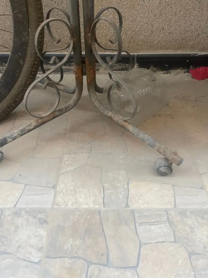 سيكل سباق وقفص زينة حق بغبغاء او عصافير 4