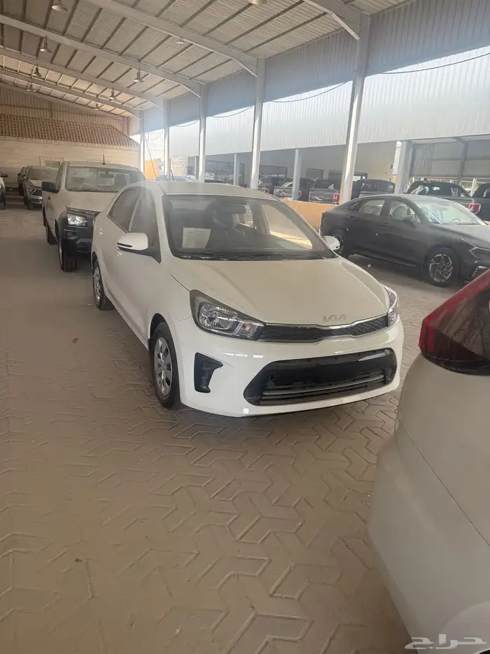 كيا بيجاس ستاندر 2025 0