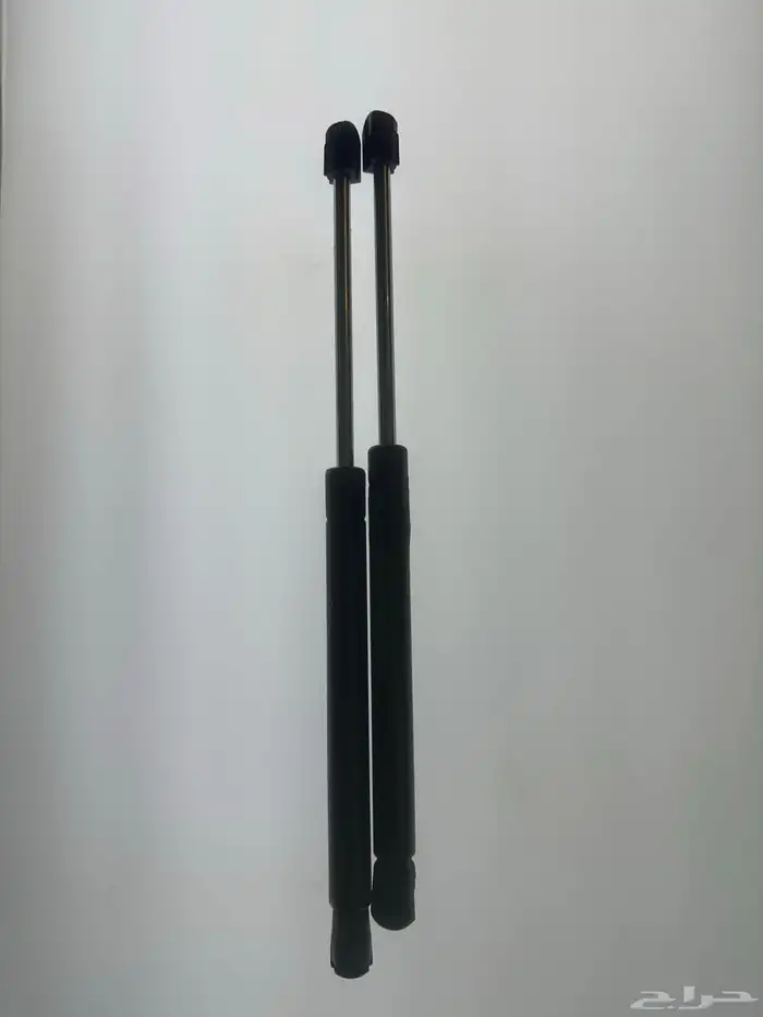 مساعدات فورد 1