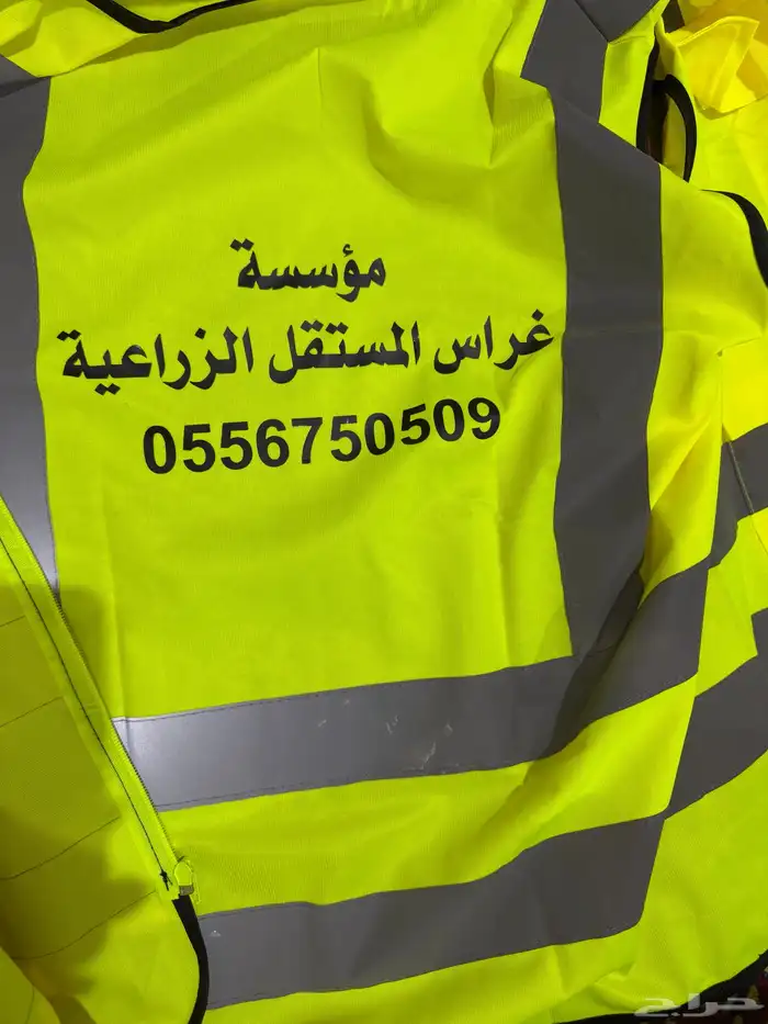 العلا 4