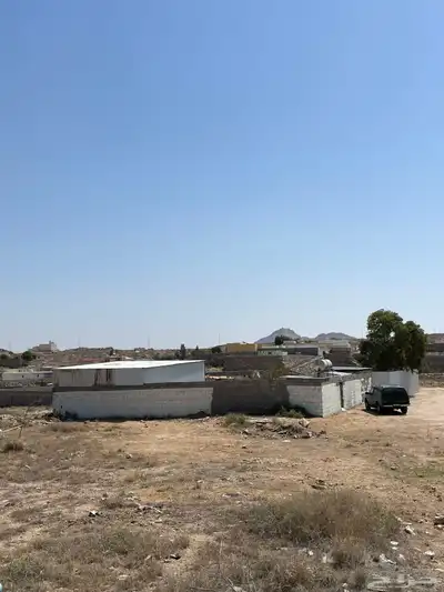 حضائر مواشي غنم او دجاج او حمام 0