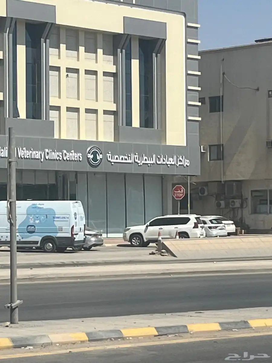 كلادنج وحروف بارزة 1