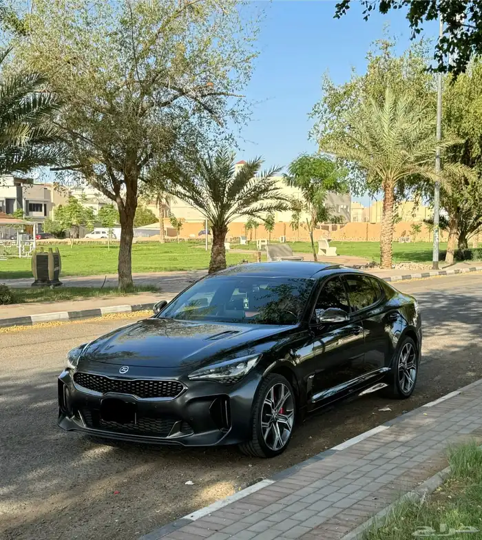 للبيع ستينجر 2020 28