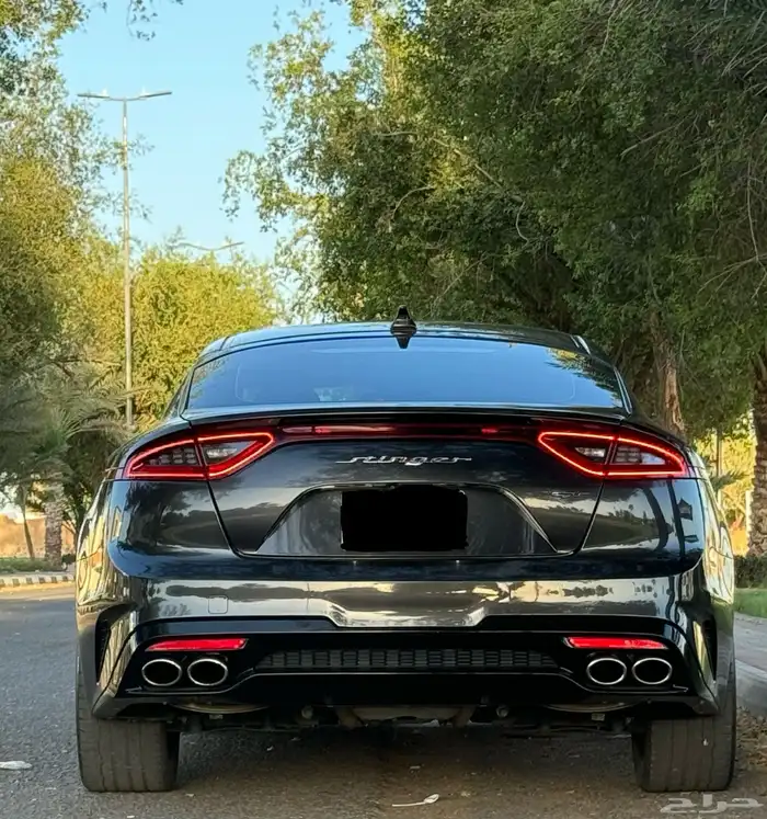 للبيع ستينجر 2020 5