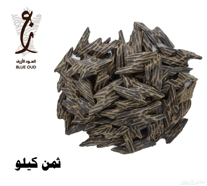 عود تايقر 2