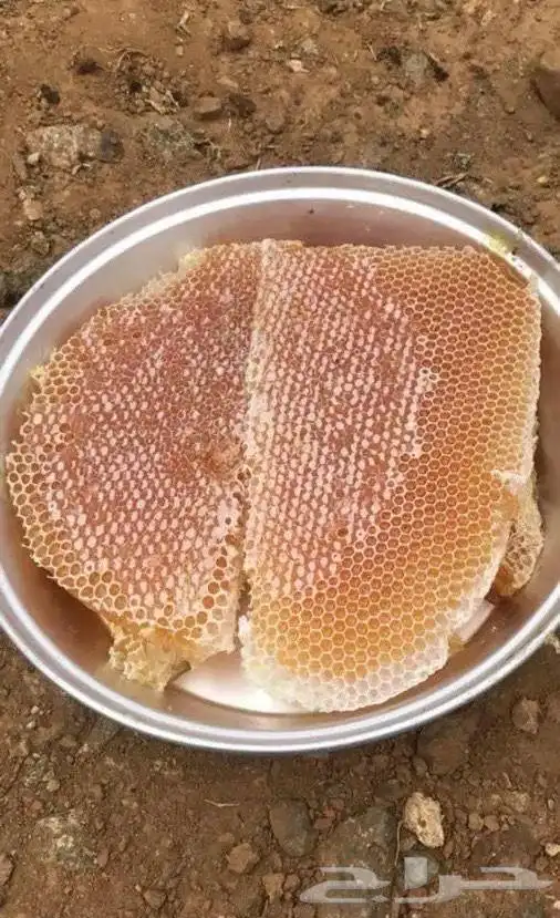 عسل سدر وسمرة إنتاج هذا الموسم 8