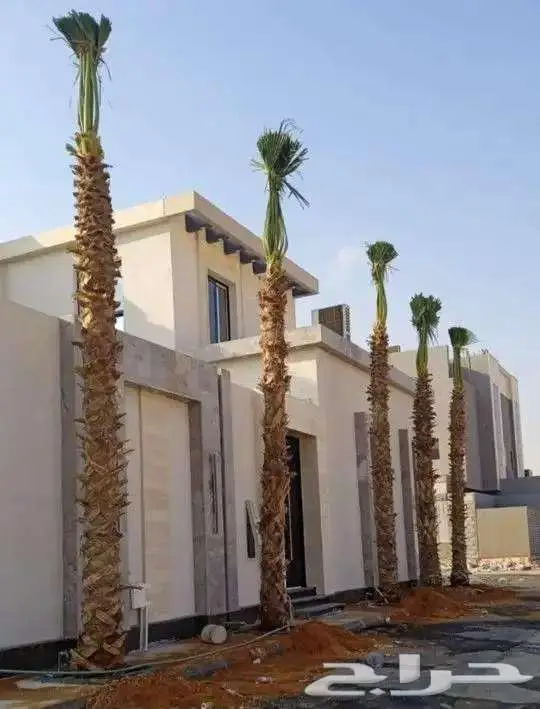 مختصون في مجالي النخل والشبوك وأشجار الزينه 2